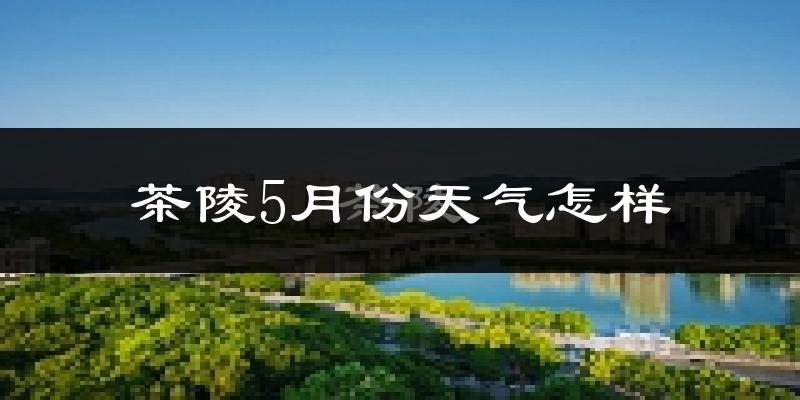 茶陵县5月份天气如何?很热吗?