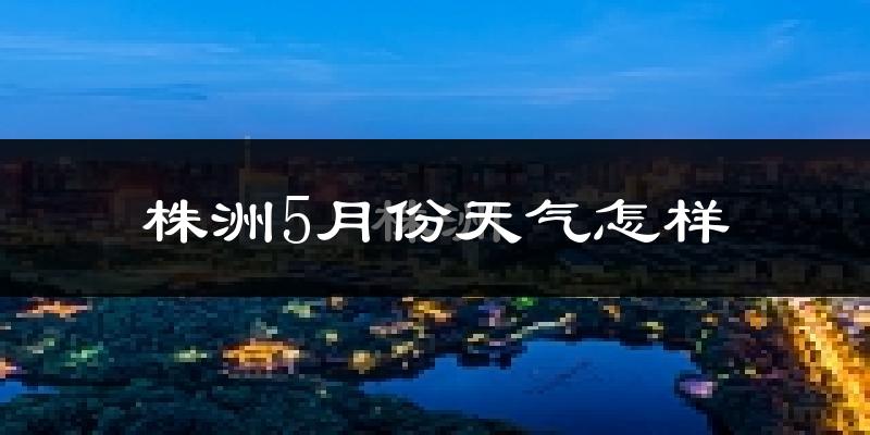 株洲县5月份天气如何?很热吗?