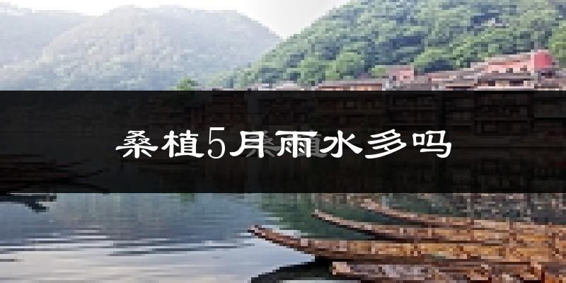 桑植5月雨水多吗?