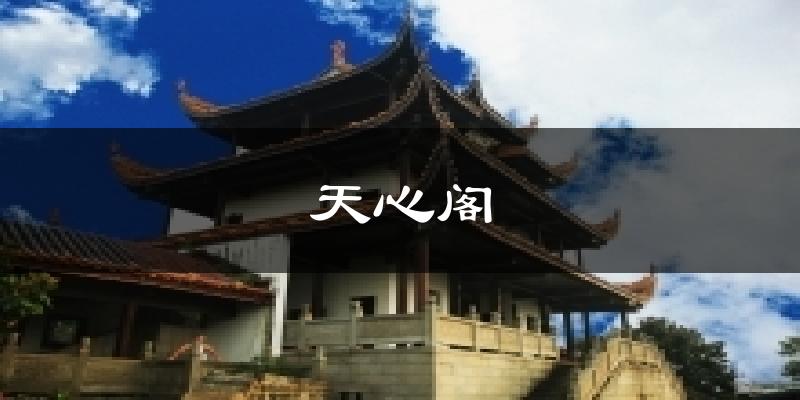 天心阁天气预报十五天