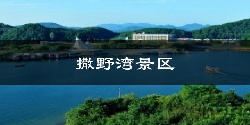 撒野湾景区天气预报十五天