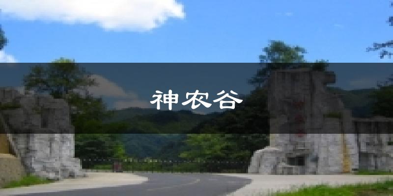 神农谷天气预报十五天
