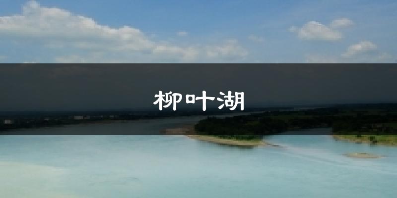 柳叶湖天气预报十五天