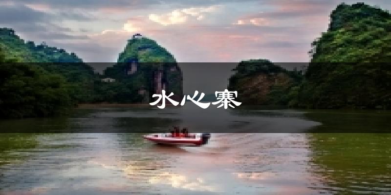 水心寨天气预报十五天