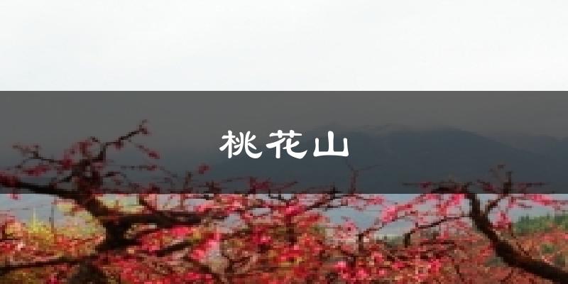 桃花山天气预报十五天