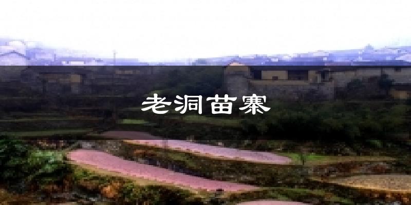 老洞苗寨天气预报十五天