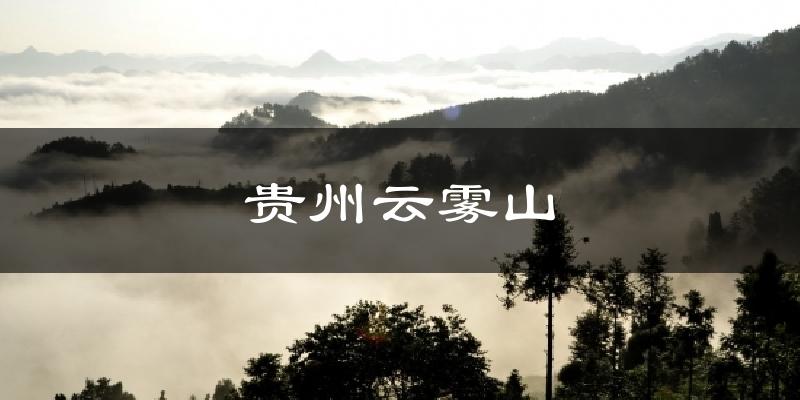贵州云雾山今日天气