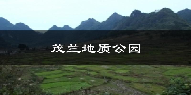 茂兰地质公园今日天气