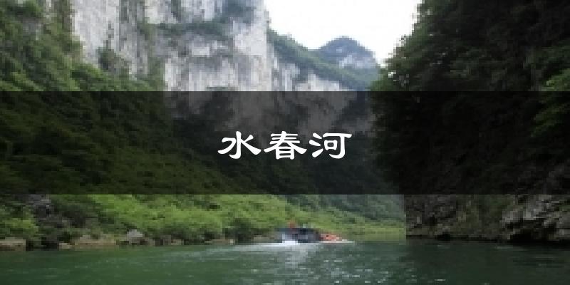 水春河今日天气