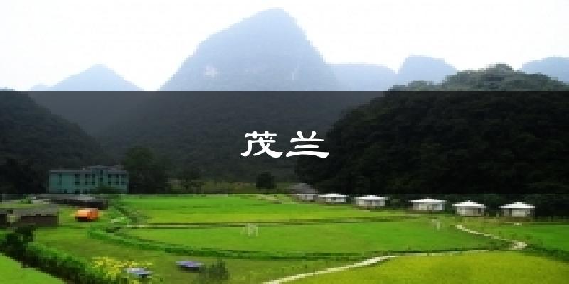 茂兰今日天气