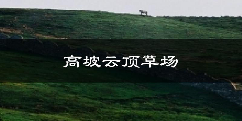 高坡云顶草场天气预报十五天