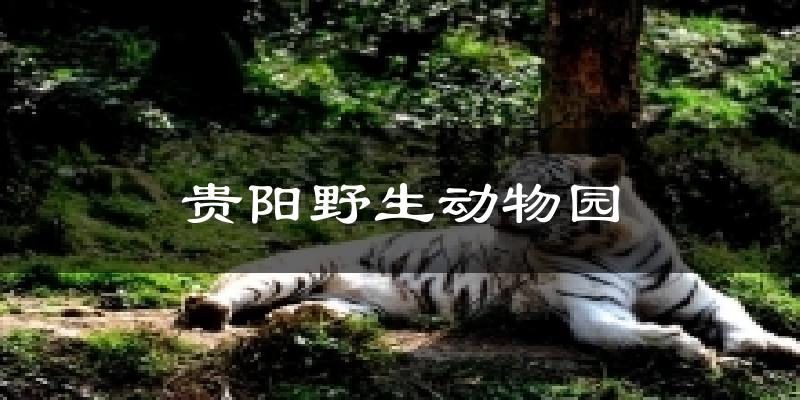 贵阳野生动物园今日天气