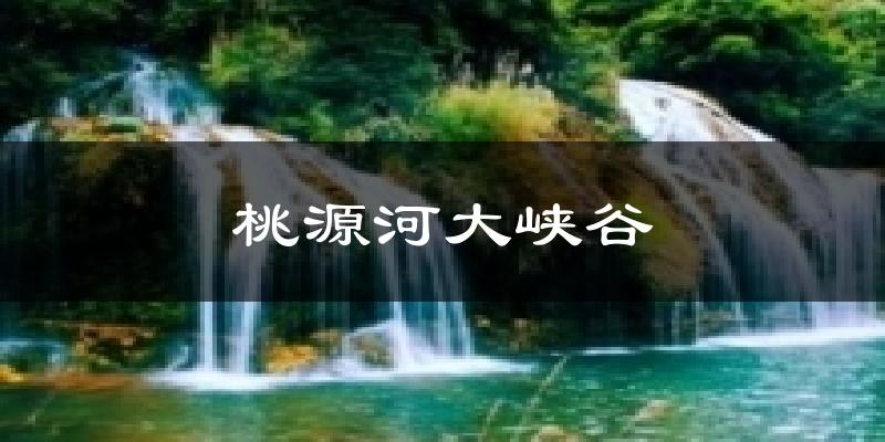 桃源河大峡谷今日天气