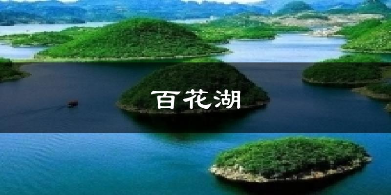 百花湖今日天气