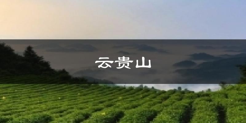 云贵山今日天气