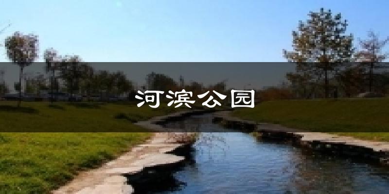 河滨公园今日天气