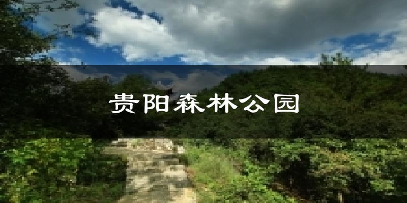 贵阳森林公园今日天气