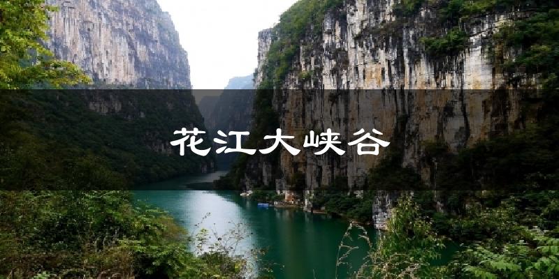 花江大峡谷今日天气