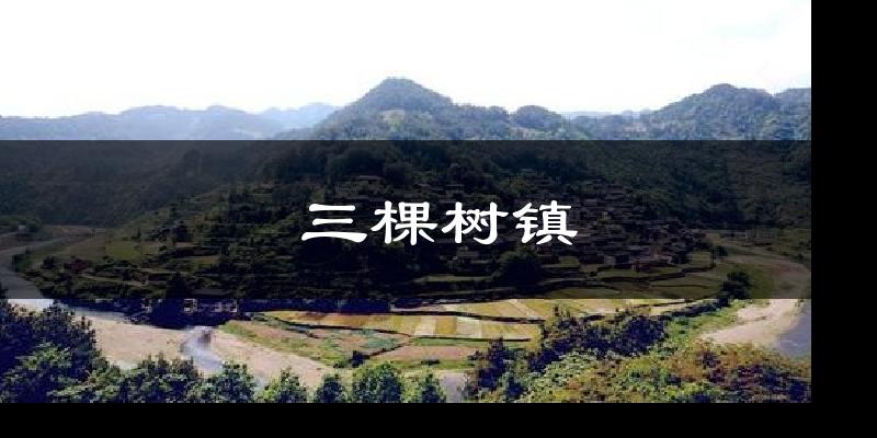 三棵树镇今日天气