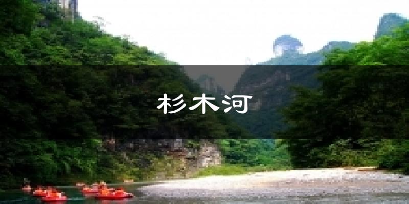 杉木河今日天气