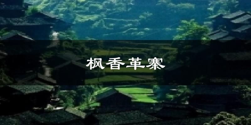 枫香革寨今日天气