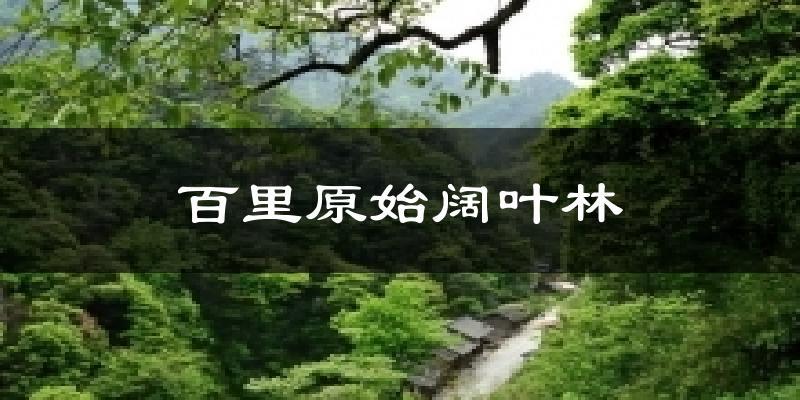 百里原始阔叶林今日天气