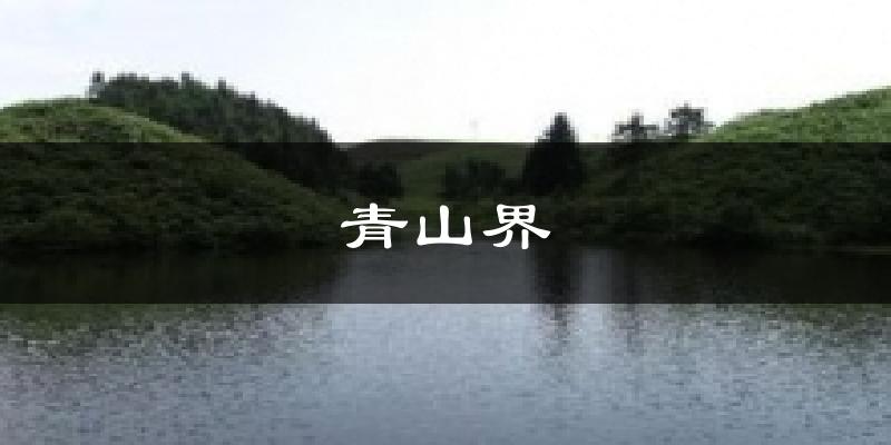 青山界今日天气