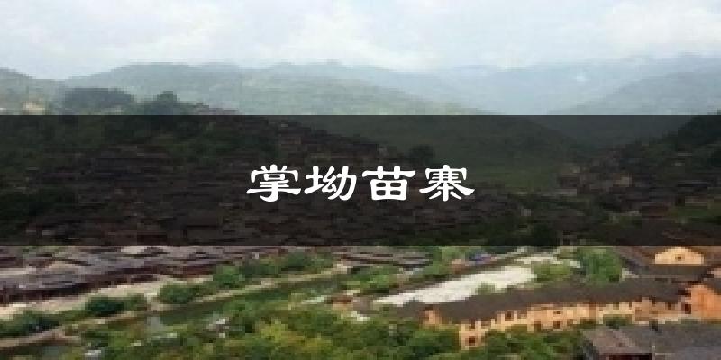 掌坳苗寨今日天气