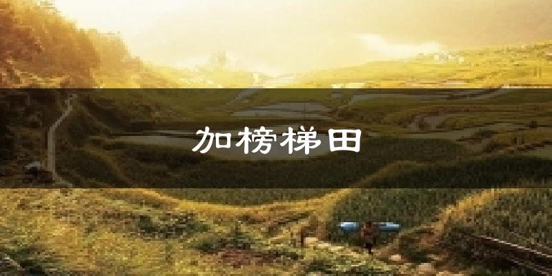 加榜梯田今日天气