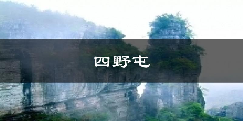 四野屯今日天气
