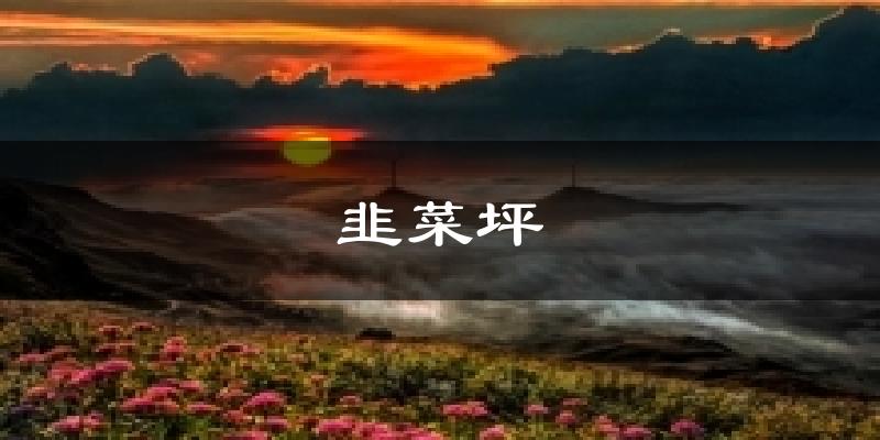 韭菜坪今日天气