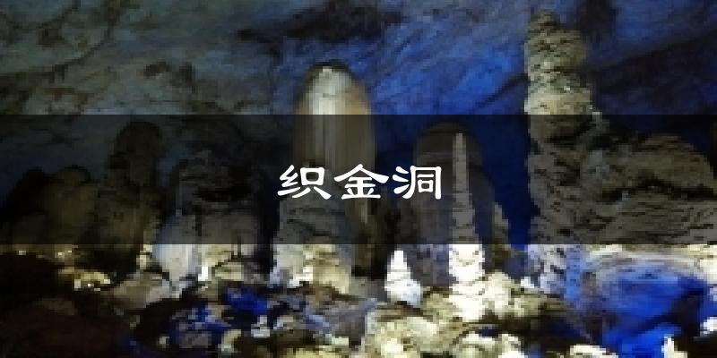 织金洞今日天气