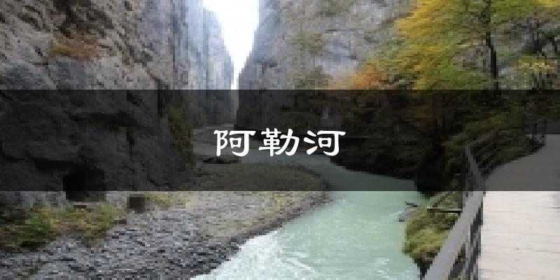 阿勒河今日天气