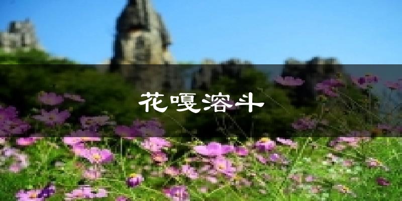 花嘎溶斗今日天气