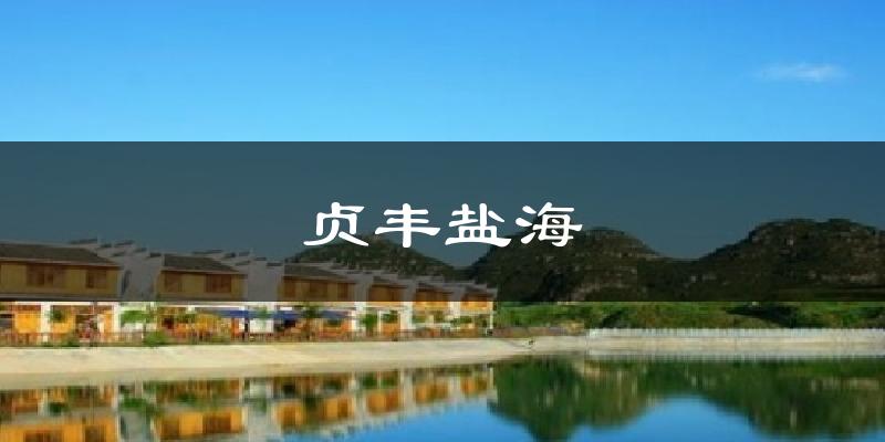 贞丰盐海今日天气