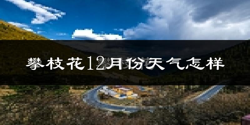 攀枝花12月份天气怎样?攀枝花十二月冷吗?