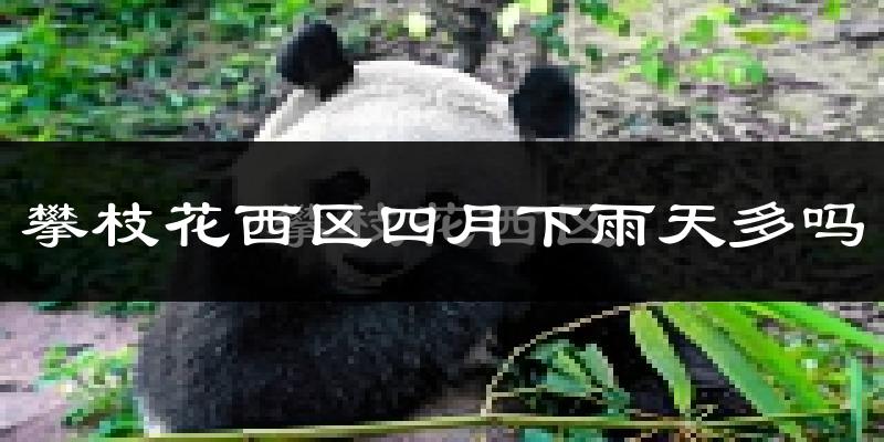 攀枝花西区四月下雨天多吗?攀枝花西区4月份降雨量多少?