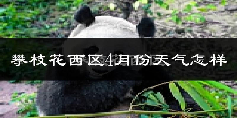 攀枝花西区4月份天气怎样?攀枝花西区四月冷不冷?