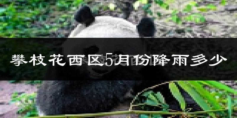 攀枝花西区5月份降雨多少?