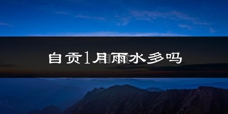 自贡1月雨水多吗?