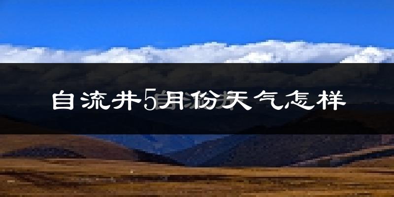 自流井5月份天气怎样?自流井五月冷吗?