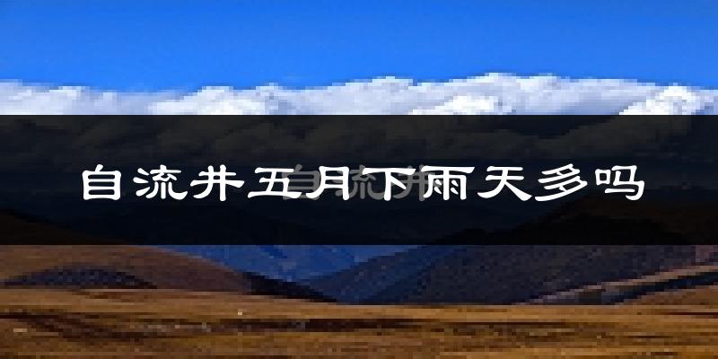 自流井五月下雨天多吗?自流井5月份降雨量多少?