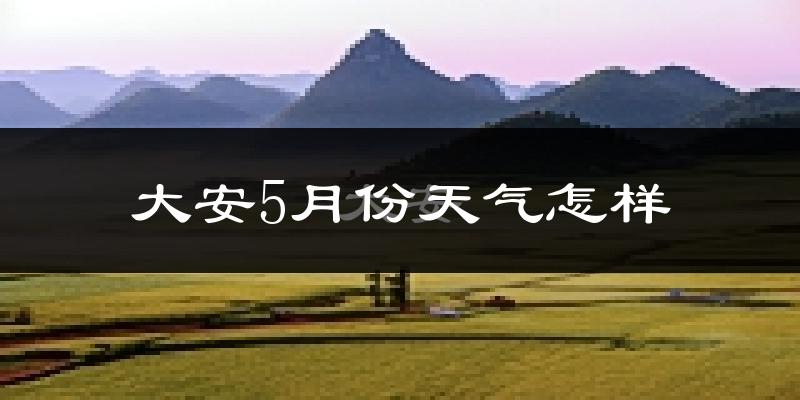 大安5月份天气怎样?大安五月冷吗?