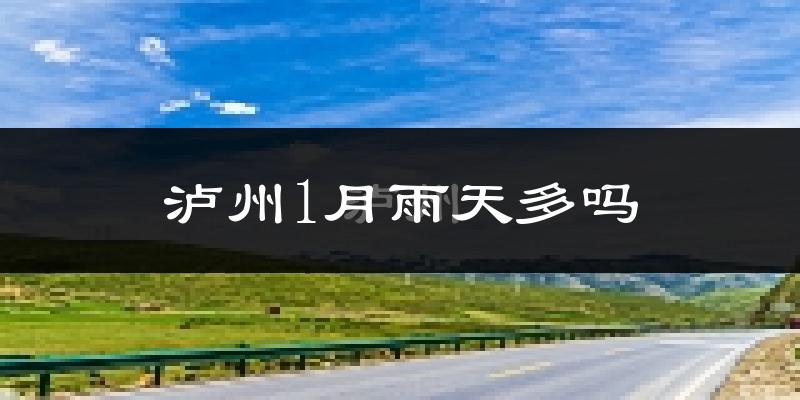 泸州1月雨天多吗?