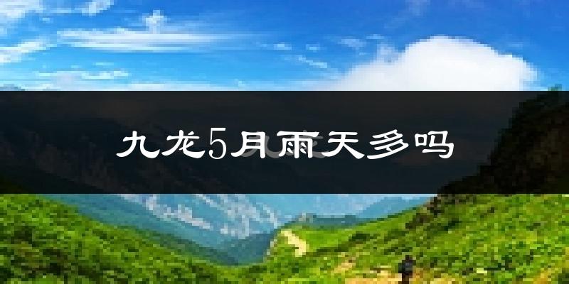 九龙5月雨天多吗?