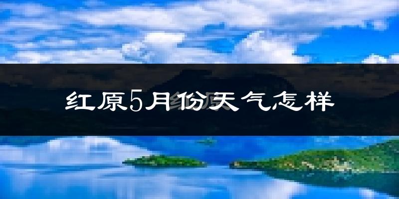 红原县5月份天气如何?很冷吗?——基于2024-2025年数据深度分析