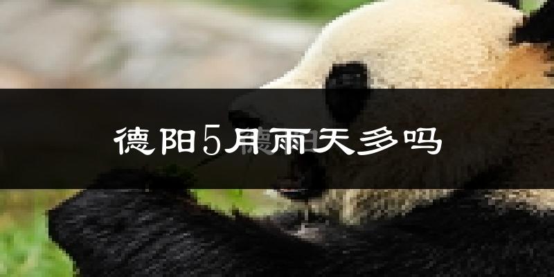 德阳5月雨天多吗?