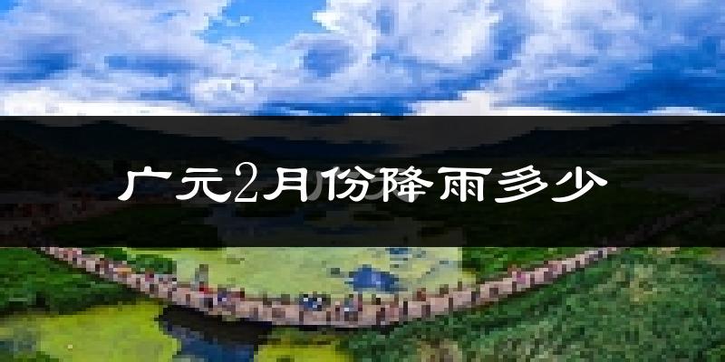 广元2月份降雨多少?
