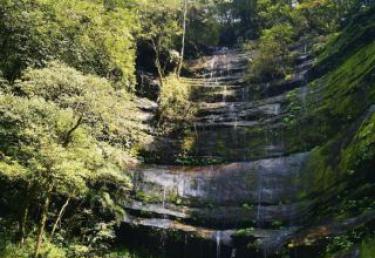 元坝今日天气