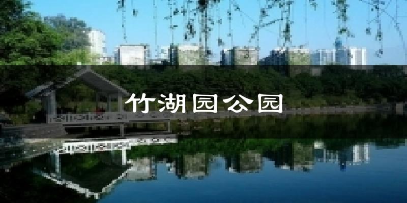 竹湖园公园天气预报十五天
